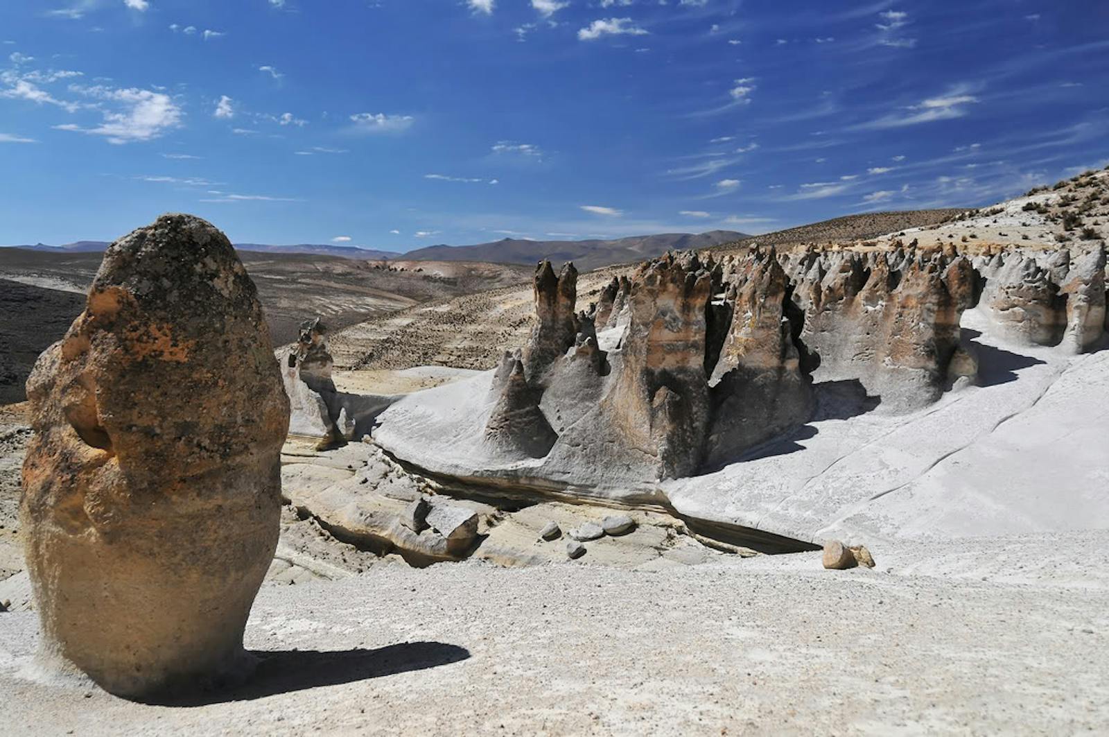 Central Andean Puna One Earth